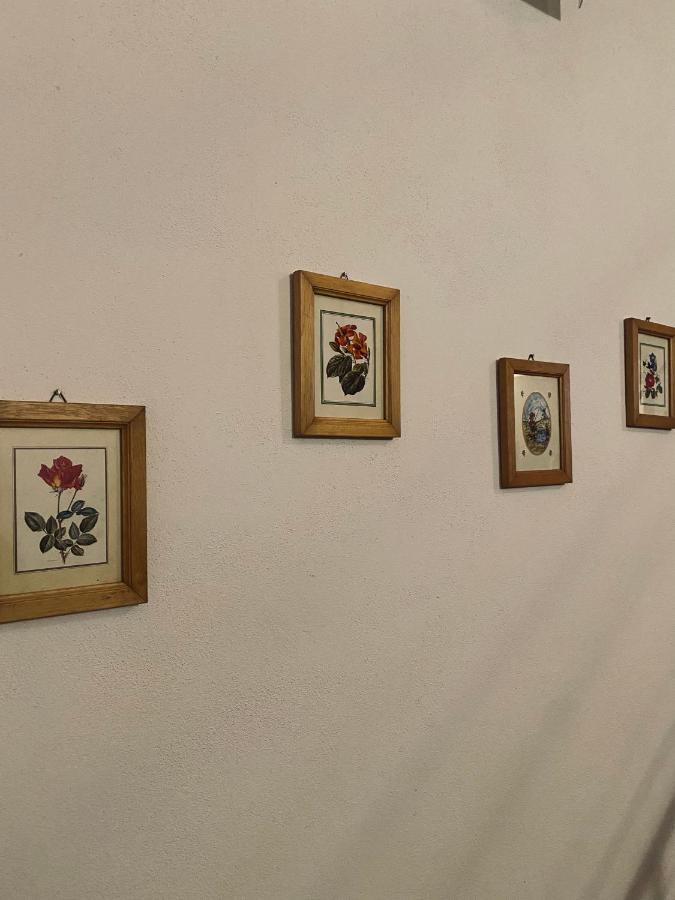 קטאניה Appartamento Don Tano מראה חיצוני תמונה